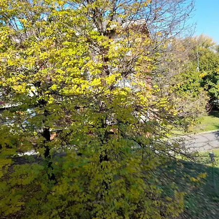 Casa Di Sole A * Крема